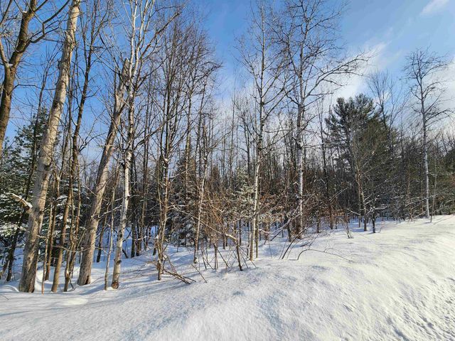 TBD Valley Road, Nw, Rapid City, MI 49676