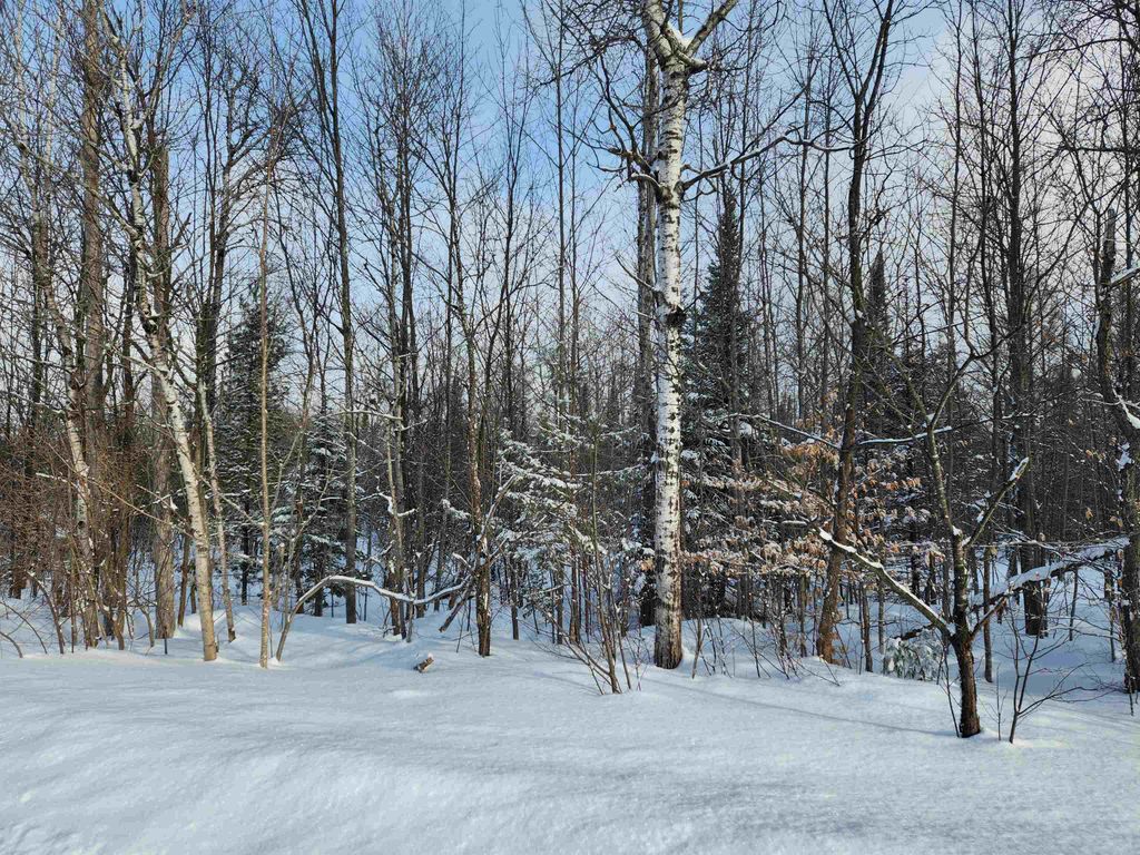 TBD Valley Road, Nw, Rapid City, MI 49676