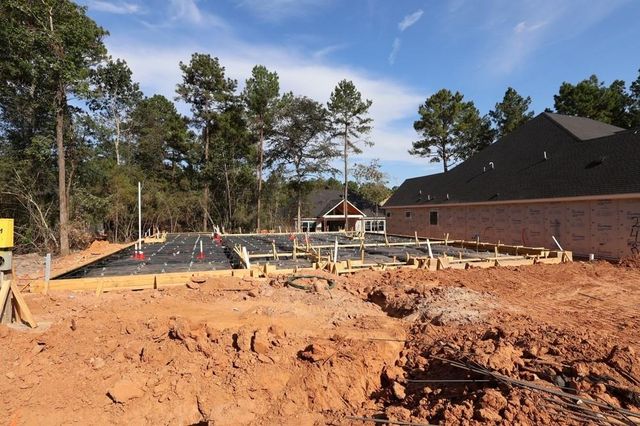 252 Nancy Lou Lane, Willis, TX 77318