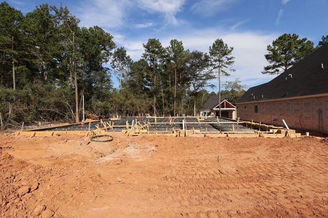 252 Nancy Lou Lane, Willis, TX 77318