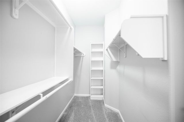 13165 Snow Lane 1, Willis, TX 77318