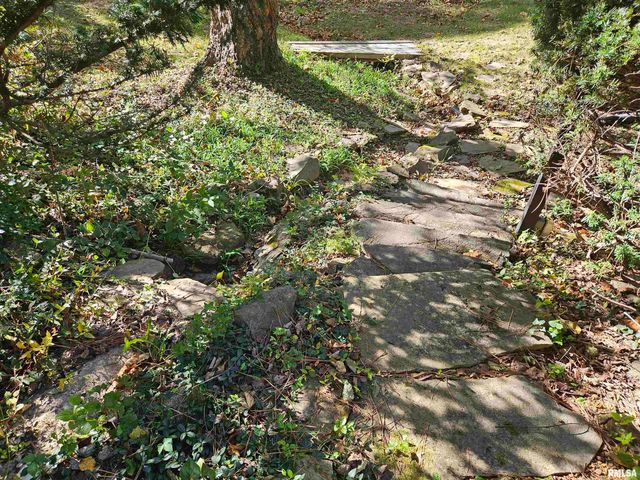 46 HILLCREST Drive, Carbondale, IL 62901