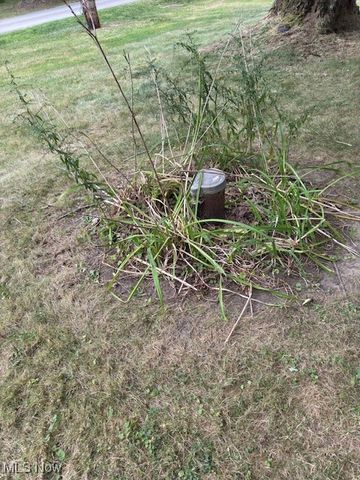 1185 Townsend Avenue, Youngstown, OH 44505