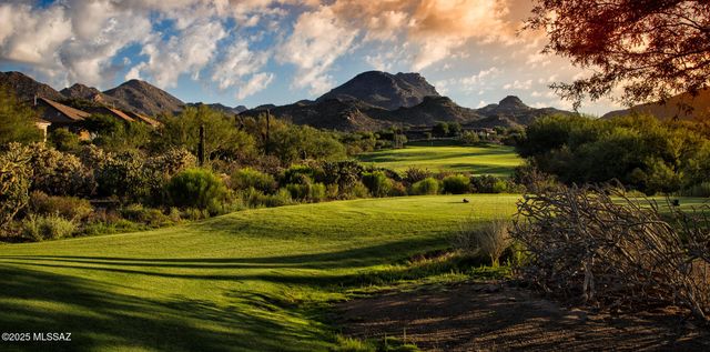 13544 N Buckhorn Cholla Drive, Marana, AZ 85658