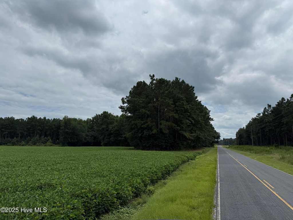 Image 11 of property listing at 0 Sr 1932, Aurora, NC 27806