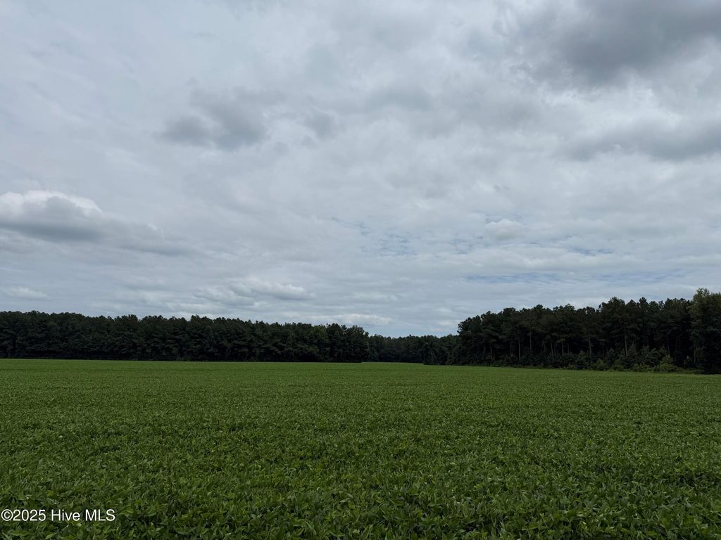 Image 12 of property listing at 0 Sr 1932, Aurora, NC 27806