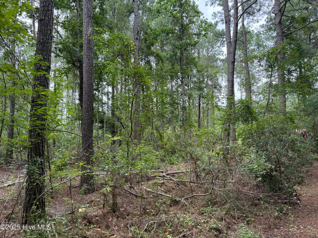 Image 6 of property listing at 0 Sr 1932, Aurora, NC 27806