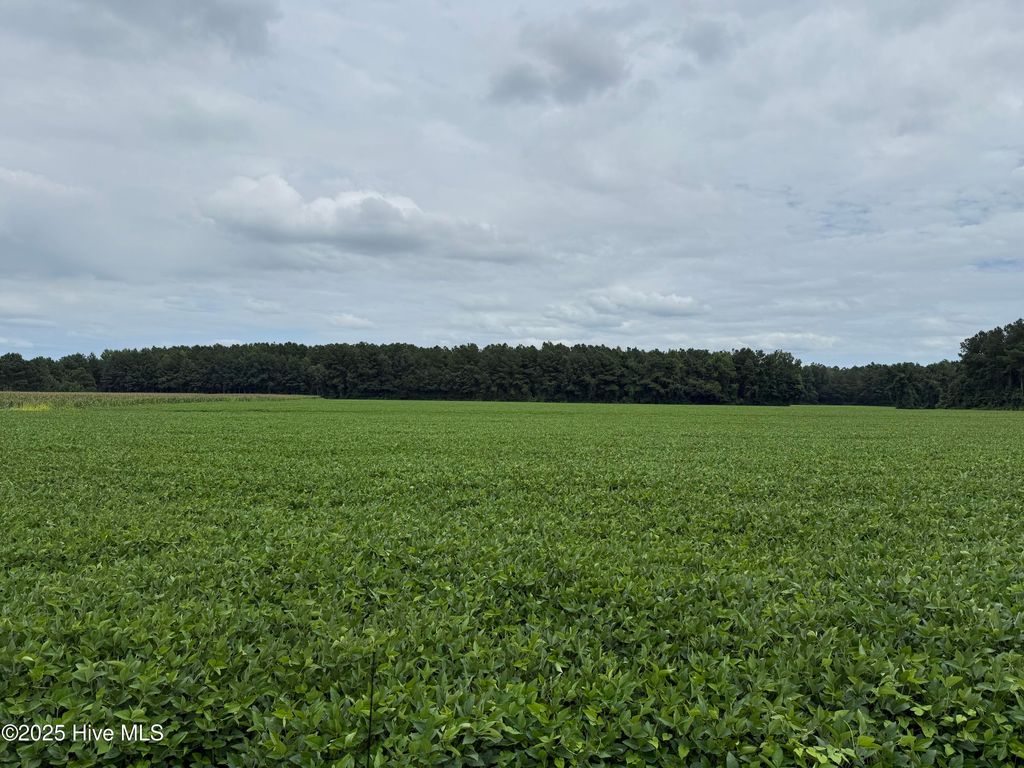 Image 8 of property listing at 0 Sr 1932, Aurora, NC 27806