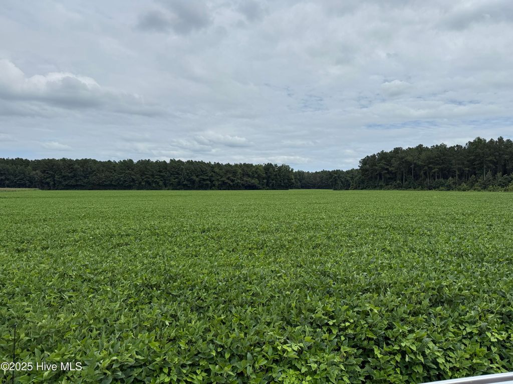 Image 9 of property listing at 0 Sr 1932, Aurora, NC 27806