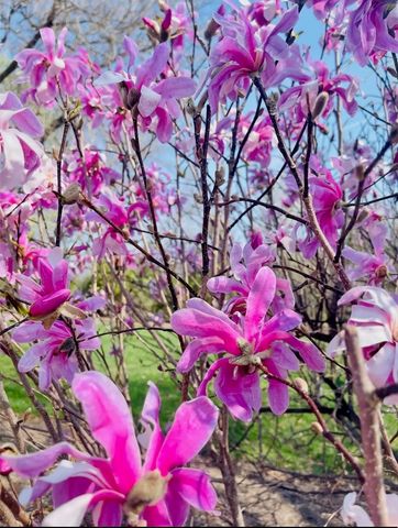 635 Signal Hill Road, North Barrington, IL 60010