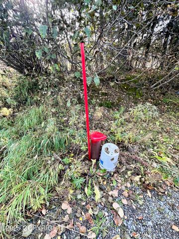 35765 Erin Way, Anchor Point, AK 99556