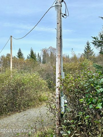 35765 Erin Way, Anchor Point, AK 99556