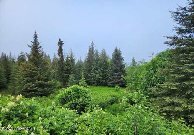 35765 Erin Way, Anchor Point, AK 99556