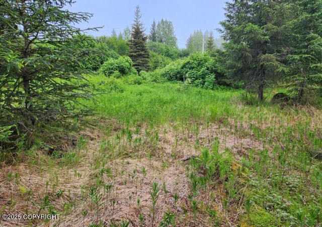 35765 Erin Way, Anchor Point, AK 99556