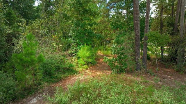 TBD Sky Oak Lane, Huntsville, TX 77340