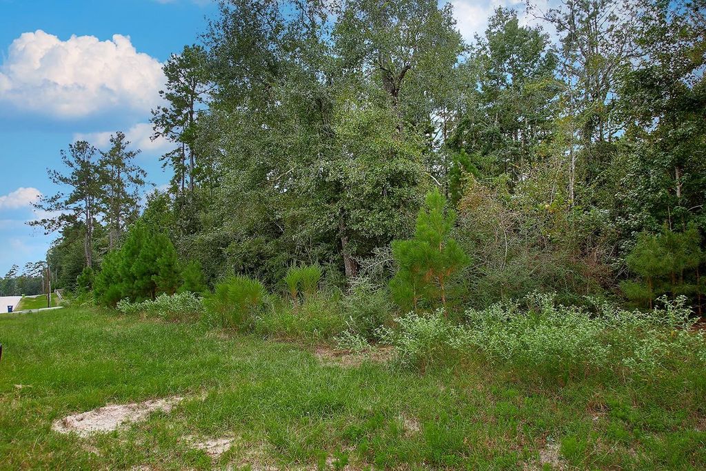 TBD Sky Oak Lane, Huntsville, TX 77340