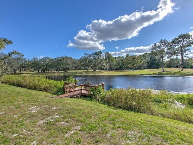 1407 HOLLEMAN DRIVE, Valrico, FL 33596