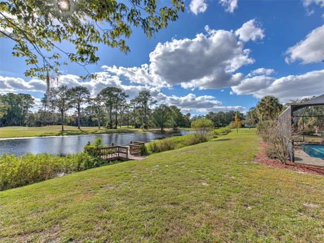 1407 HOLLEMAN DRIVE, Valrico, FL 33596