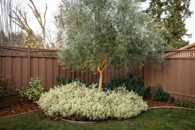 1335 Glenwood Avenue, San Jose, CA 95125