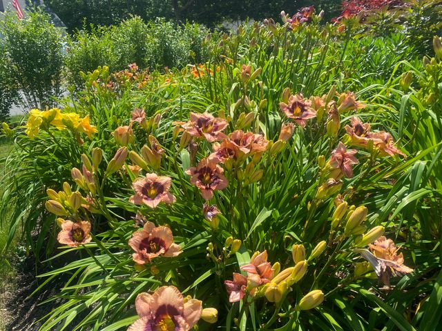 239 Paddocks Path, Dennis, MA 02638