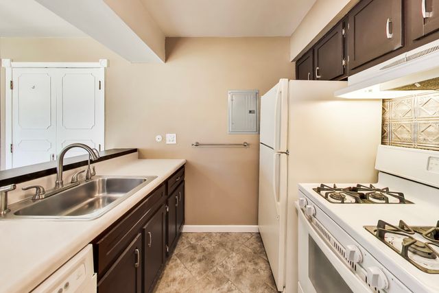 1313 cove Drive 211A, Prospect Heights, IL 60070