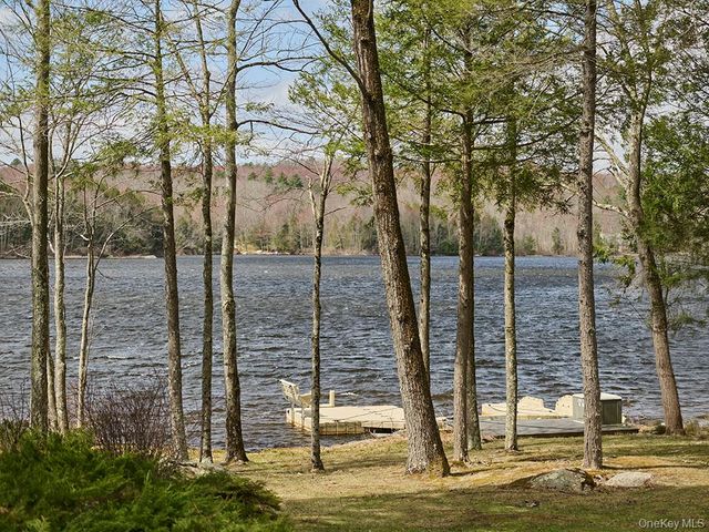 16 Deforest Drive, South Fallsburg, NY 12779