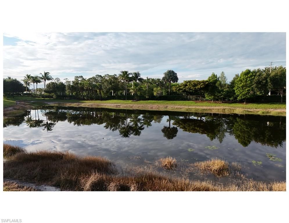 4118 Raffia DR, NAPLES, FL 34119 — photo 4