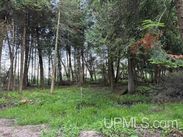 TBD Juniper Aa Lane, Rapid River, MI 49878