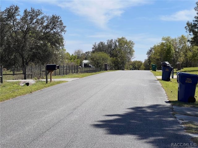 10070 S Arabian Avenue, Floral City, FL 34436