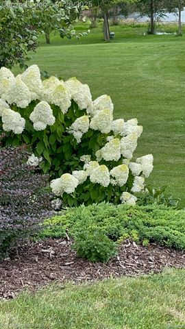 2434 Collendale, Commerce Charter Township, MI 48382