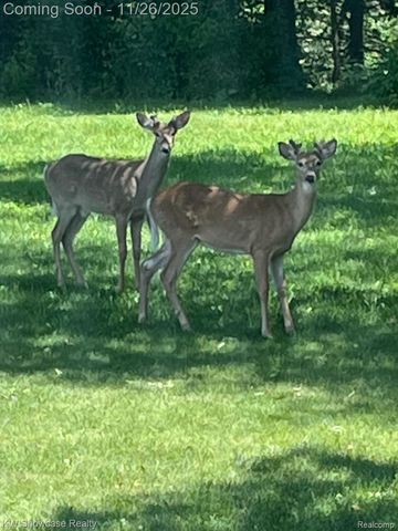 2434 Collendale, Commerce Charter Township, MI 48382