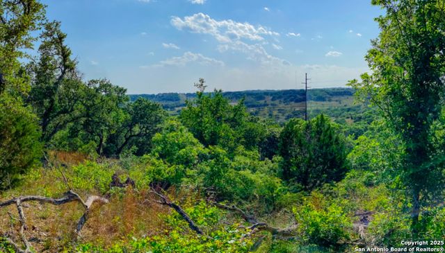 0, LOT 55 Elk Hoof Ct, Blanco, TX 78606