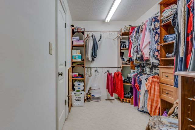 250 Windwood Ln, Hohenwald, TN 38462