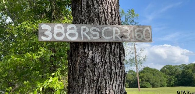 388 C R 3160, Emory, TX 75440