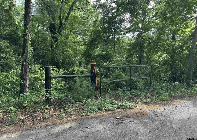 388 C R 3160, Emory, TX 75440