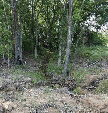 388 C R 3160, Emory, TX 75440