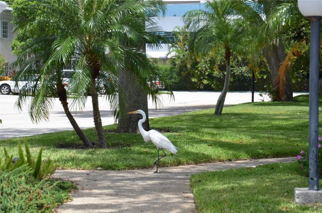 6201 Bay Club Drive 4, Fort Lauderdale, FL 33308