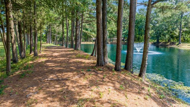 555 BUS HWY 82, Avery, TX 75554