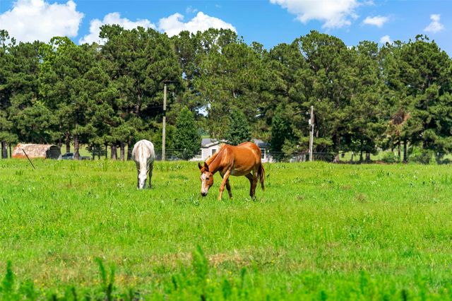 555 BUS HWY 82, Avery, TX 75554