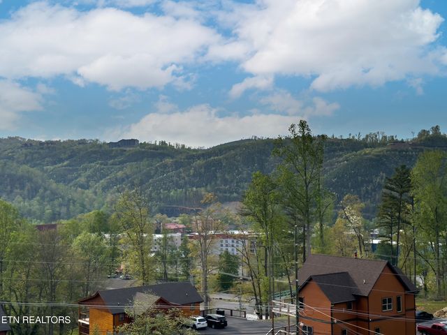 616 Turkey Nest Rd 306, Gatlinburg, TN 37738