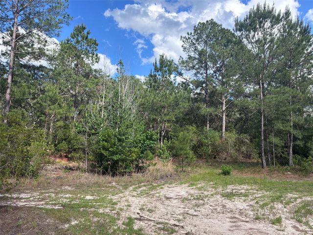 16464 NE 35 ROAD, Citra, FL 32113