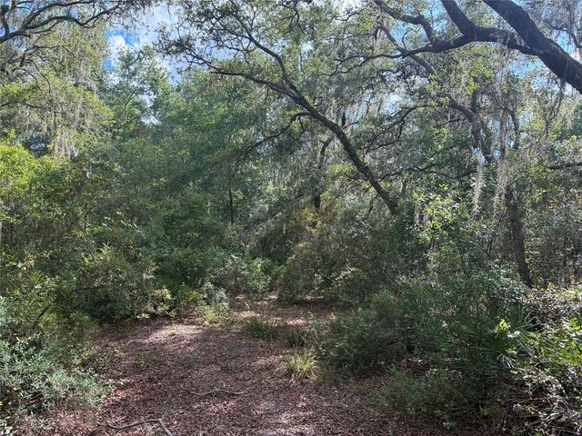 16464 NE 35 ROAD, Citra, FL 32113