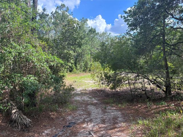 16464 NE 35 ROAD, Citra, FL 32113