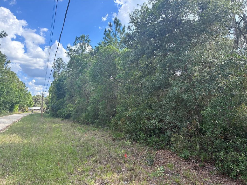 16464 NE 35 ROAD, Citra, FL 32113