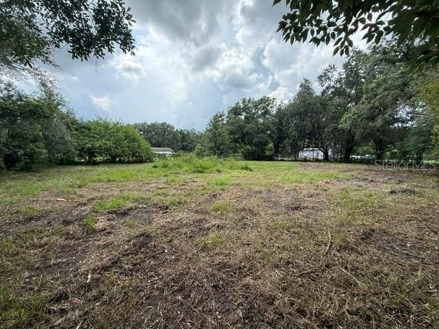 3011 S WIGGINS ROAD, Plant City, FL 33566
