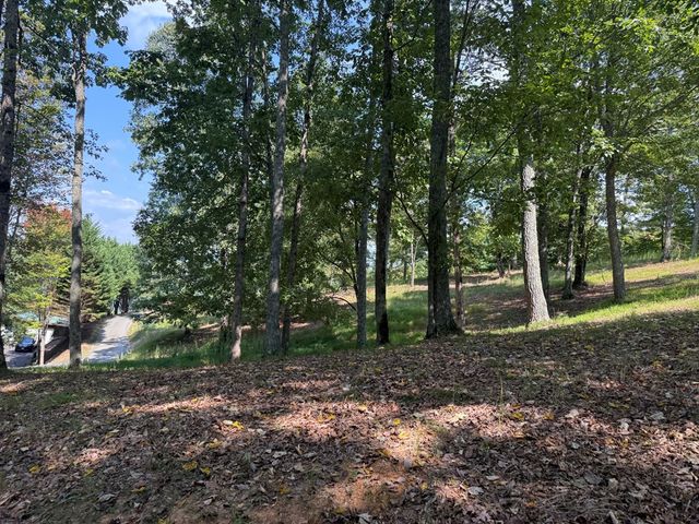 0 Madison Lane, Brasstown, NC 28902