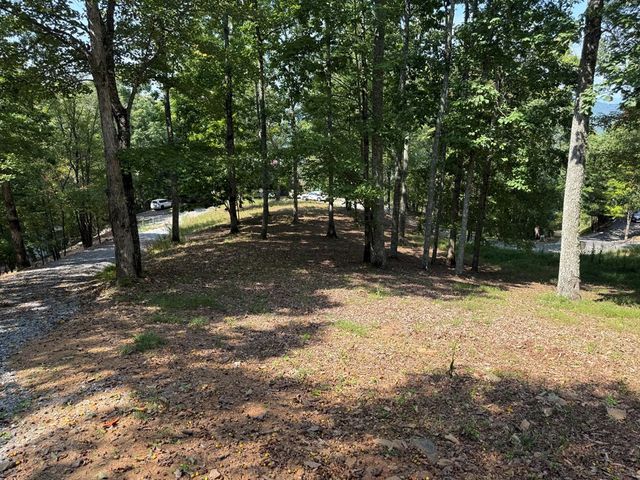 0 Madison Lane, Brasstown, NC 28902