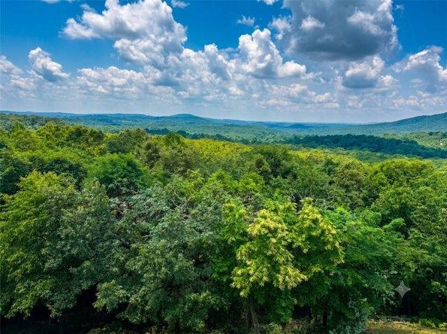55 Beauregards Knob, Ellijay, GA 30536