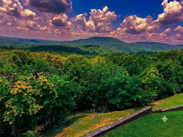 55 Beauregards Knob, Ellijay, GA 30536