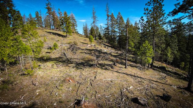 NNA Lot 3 Kacy Bear LN, Priest River, ID 83856